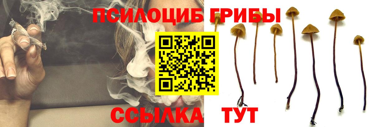 Псилоцибиновые грибы MAGIC MUSHROOMS Полевской
